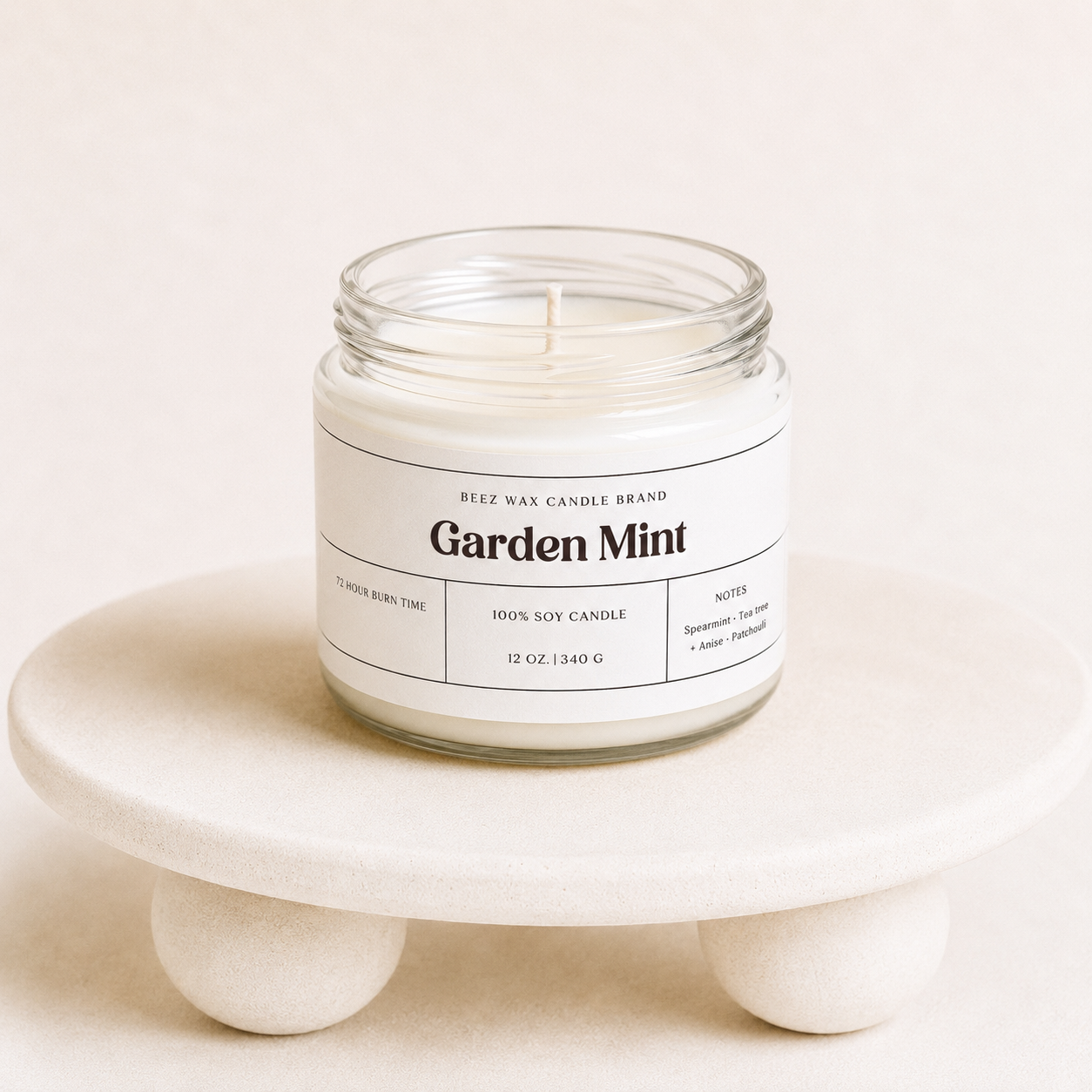 Garden Mint